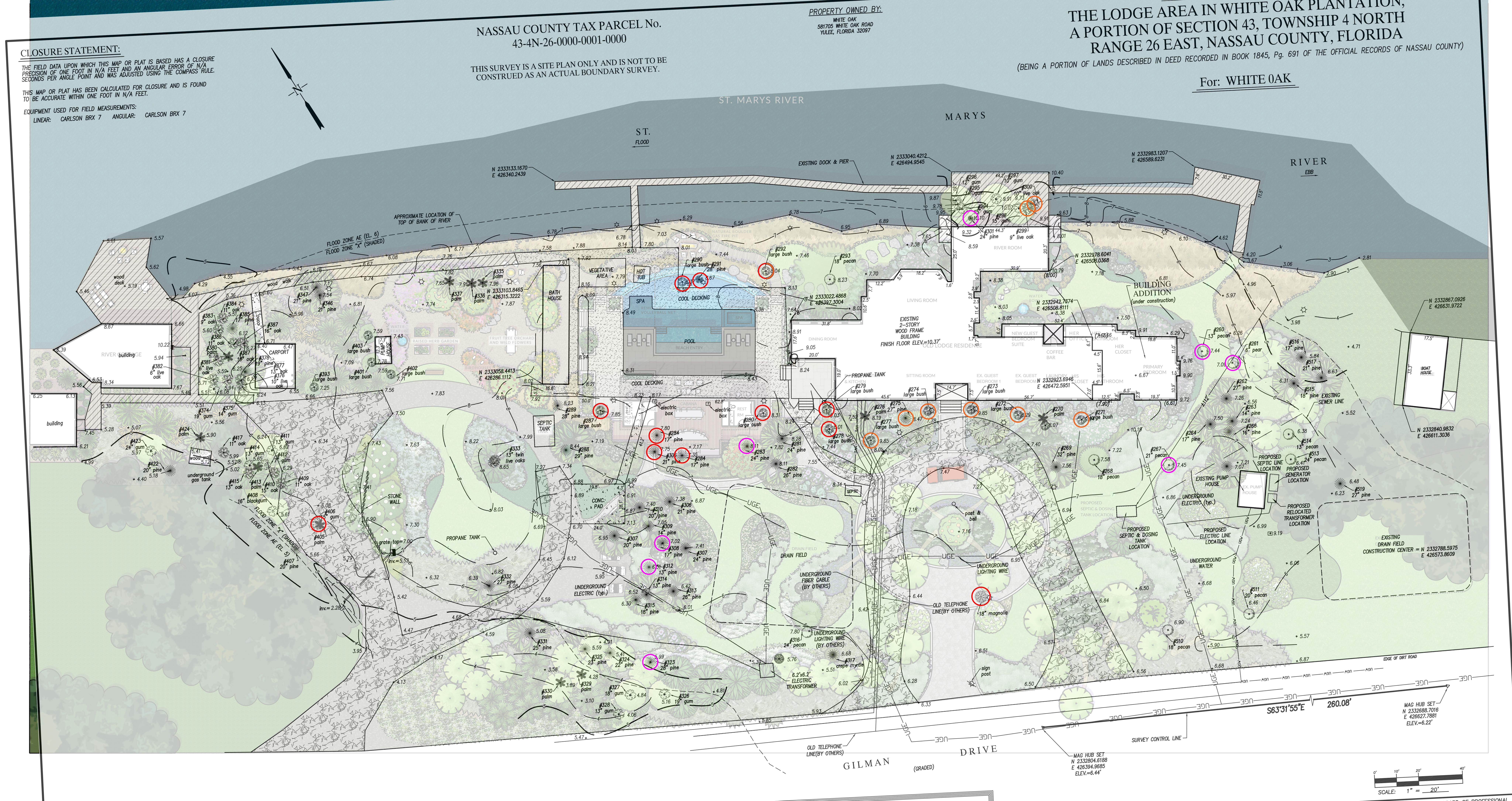 Version B - TREE OVERLAY.jpg