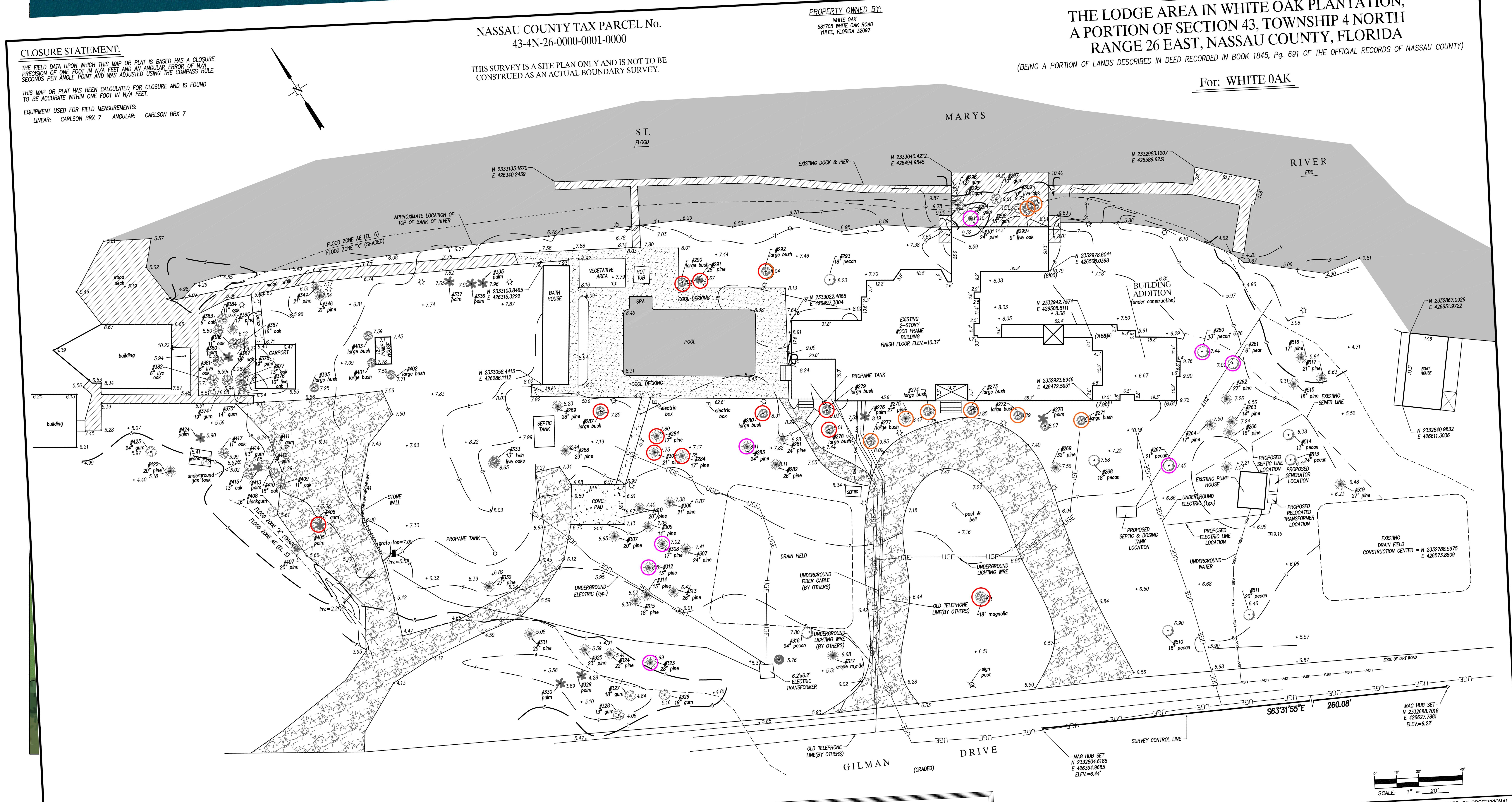 Version B TREE SURVEY.jpg