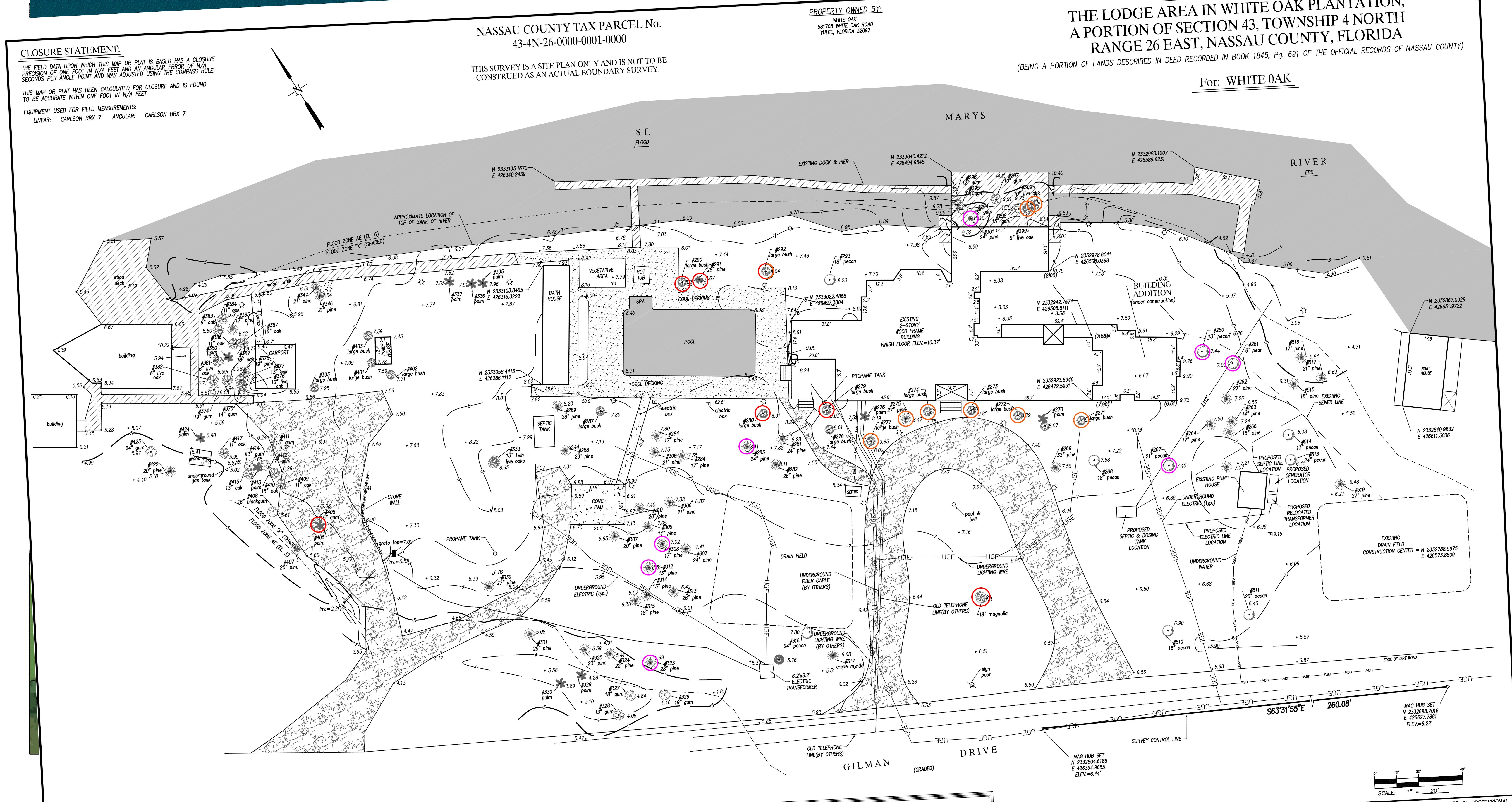 Version A - TREE SURVEY.jpg