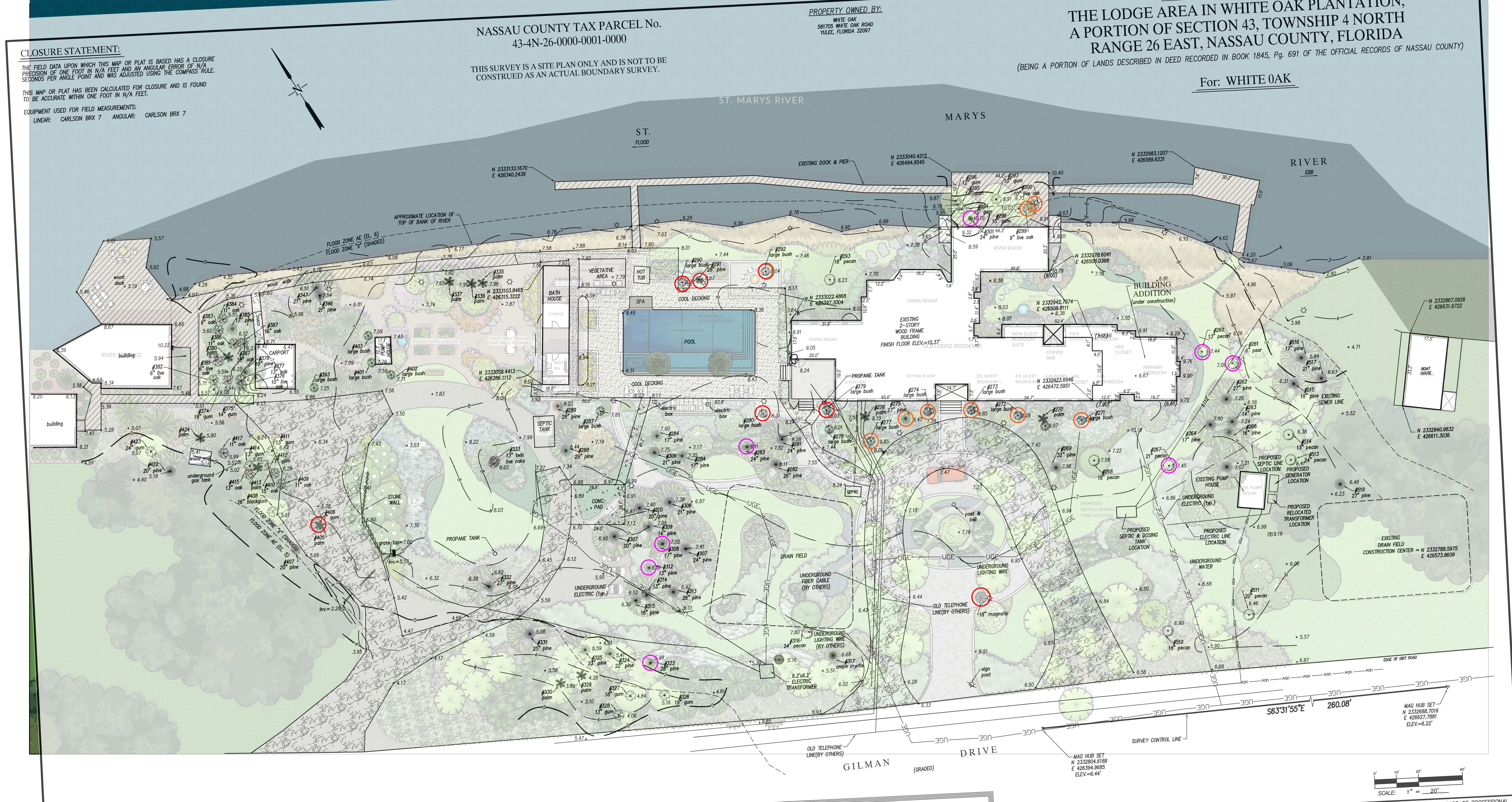 Version A - TREE OVERLAY.jpg