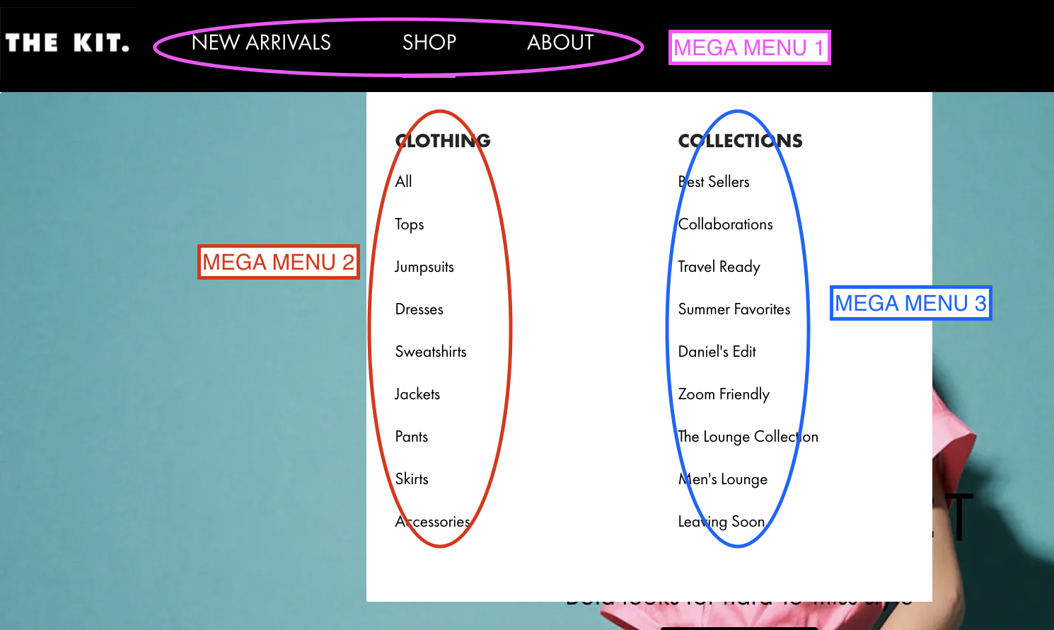 Screen Shot 2021-09-08 at 1.13.03 PM.png