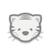 paper tiger.png