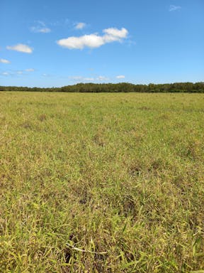 scrub 1_2022-05-343_03-05_55.jpg