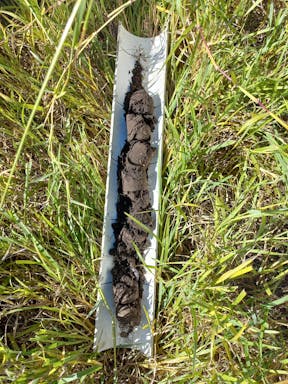 Front pdk_2022-30-343_10-30_16.jpg