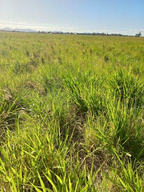 jacks West _2022-31-343_10-31_21.jpg