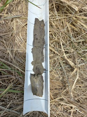 Texas #3_2022-27-343_10-27_42.jpg