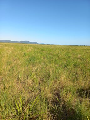 jacks West _2022-31-343_10-31_20.jpg