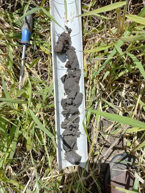 scrub 1_2022-05-343_03-05_53.jpg