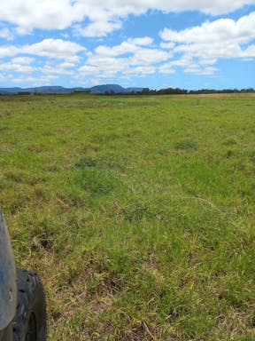 Bullock #2_2022-26-343_10-26_7.jpg