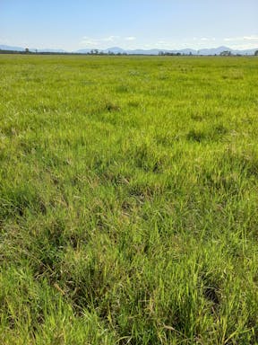 Callide East _2022-35-343_10-35_4.jpg