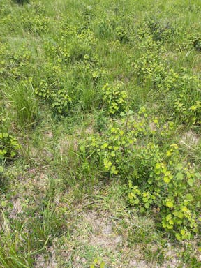 Bullock #2_2022-26-343_10-26_8.jpg