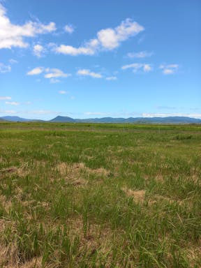 Texas #3_2022-27-343_10-27_44.jpg