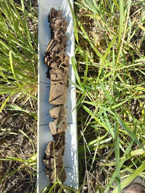 Callide East _2022-35-343_10-35_6.jpg