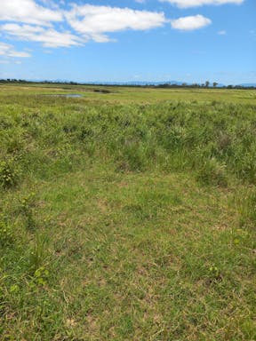 Bullock #2_2022-26-343_10-26_12.jpg