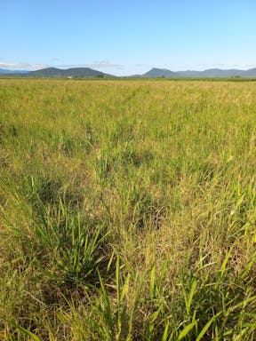 jacks West _2022-31-343_10-31_18.jpg