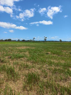 Texas #3_2022-27-343_10-27_43.jpg