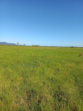 Callide East _2022-35-343_10-35_5.jpg