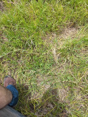 Bullock #2_2022-26-343_10-26_9.jpg