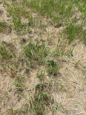 Texas #3_2022-27-343_10-27_45.jpg