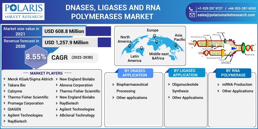 DNases, Ligases, and RNA Polymerases Market.jpg