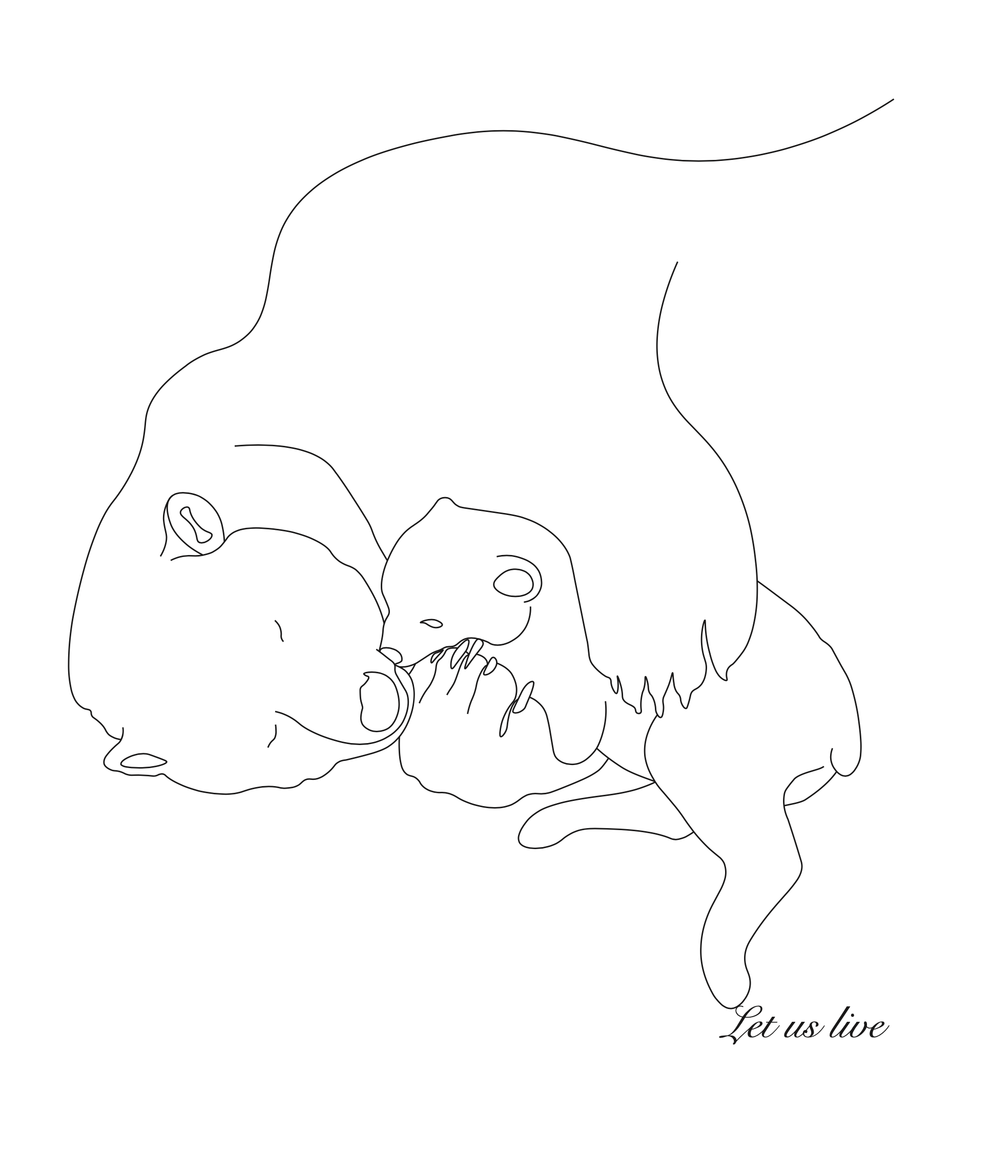 Screenshot 2021-03-25 at 13.03.03.png