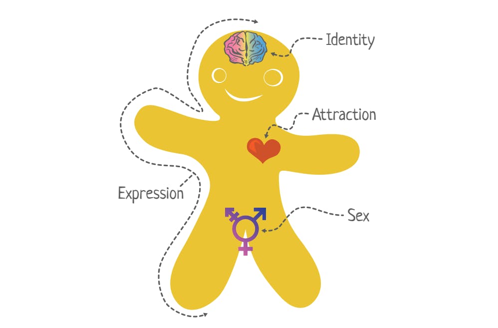 Gender and sexual identity and expression for inclusive innovation