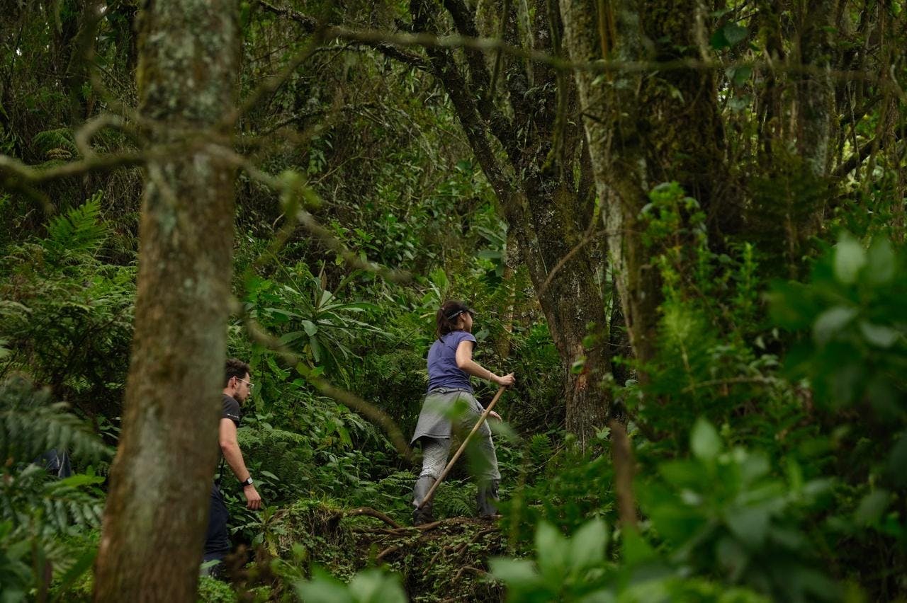 Karla and Jonty in the jungle.JPG