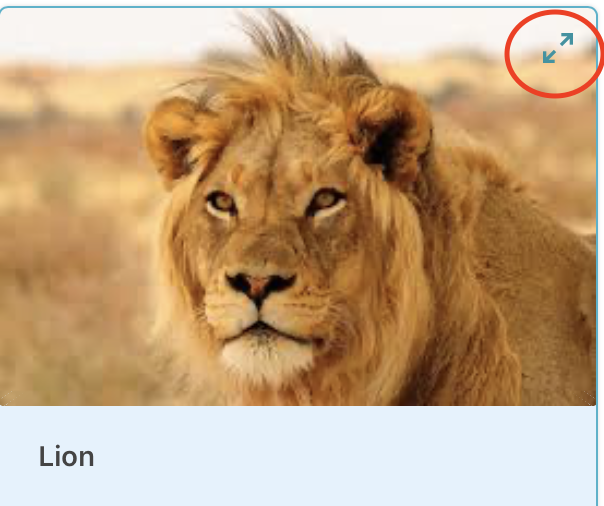 螢幕截圖 2020-05-29 上午10.25.50.png