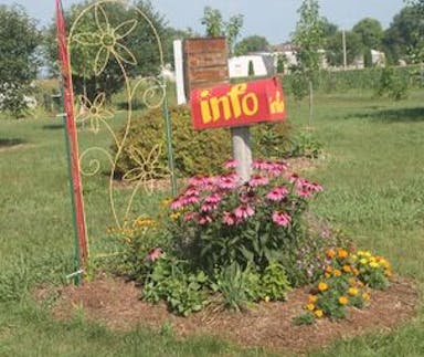 img-1289.jpg