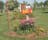 img-1289.jpg