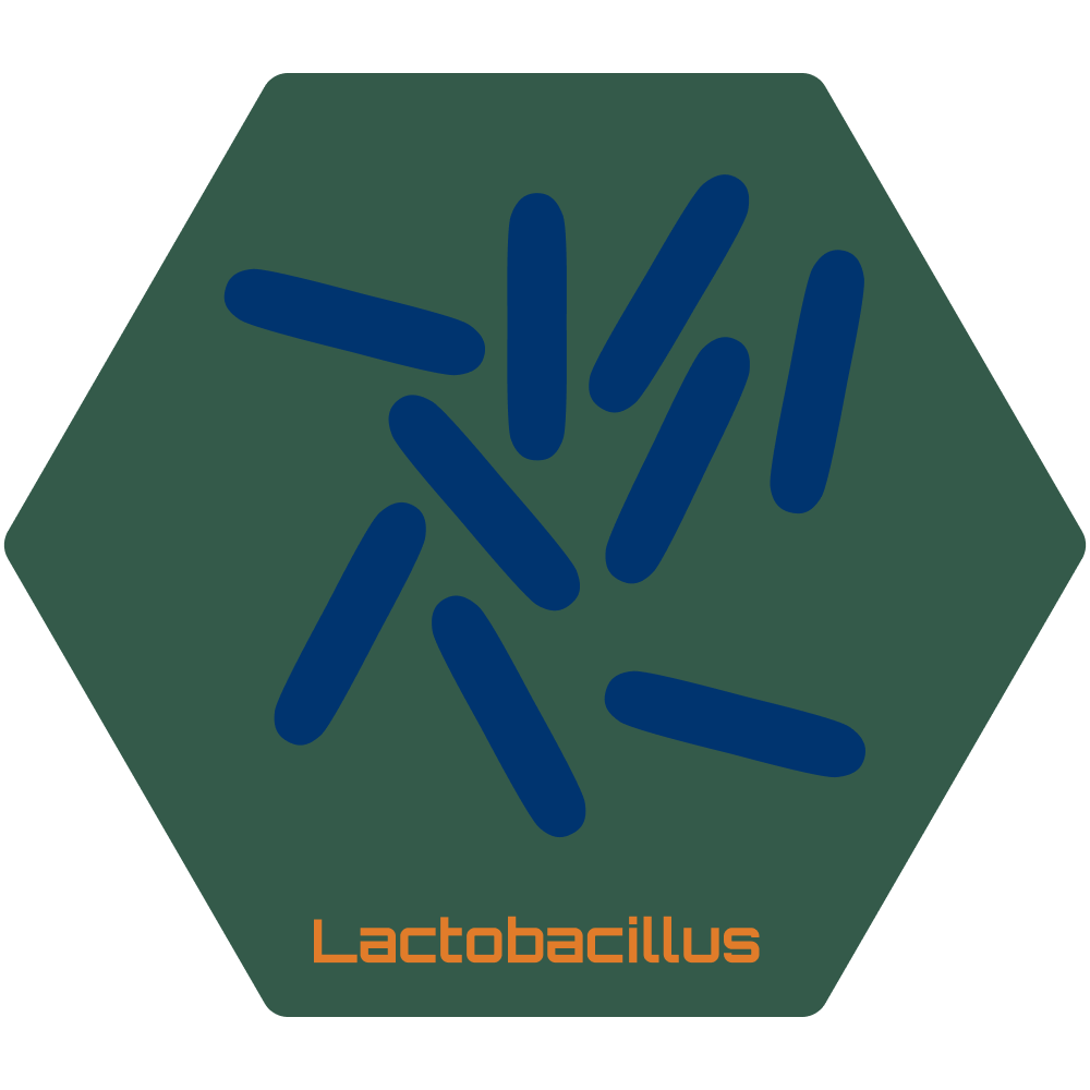 HEX Lactobacillus.png