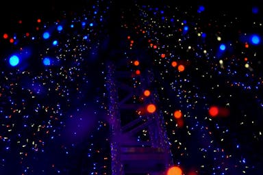 bokeh photography of structure