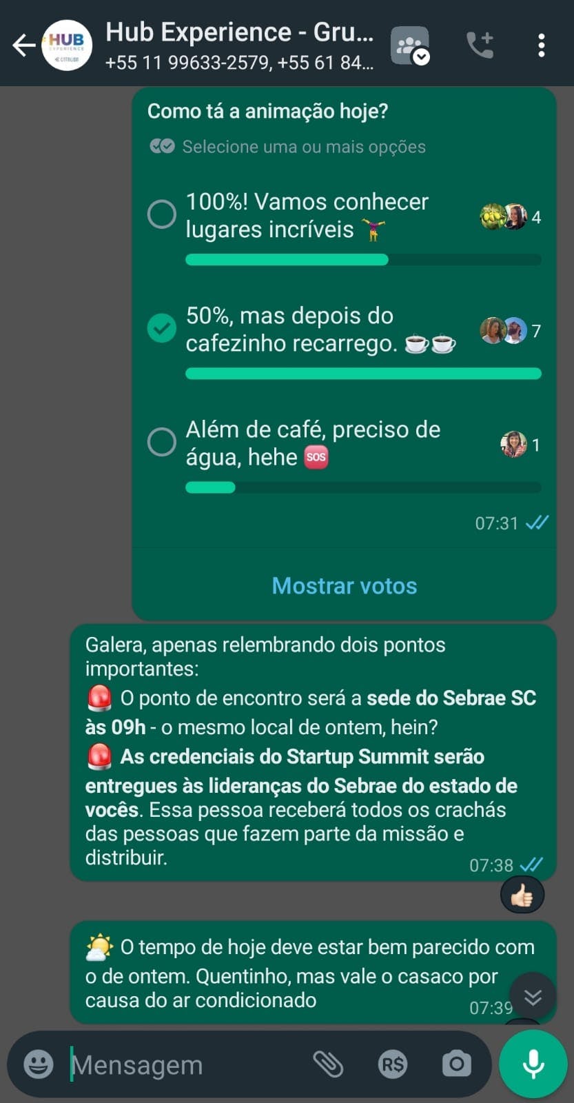 Imagem do WhatsApp de 2023-09-08 à(s) 13.11.53.jpg
