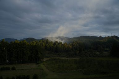 149.jpg