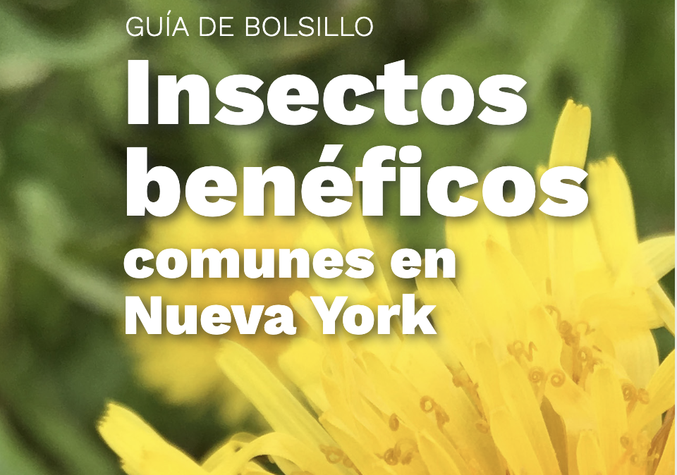 Screenshot 2026-03-11 at 3.09.53 PM.png