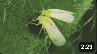 Screenshot 2025-11-19 at 1.30.53 PM.png