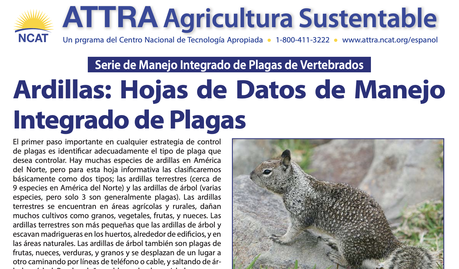 Screenshot 2025-08-08 at 12.14.58 PM.png