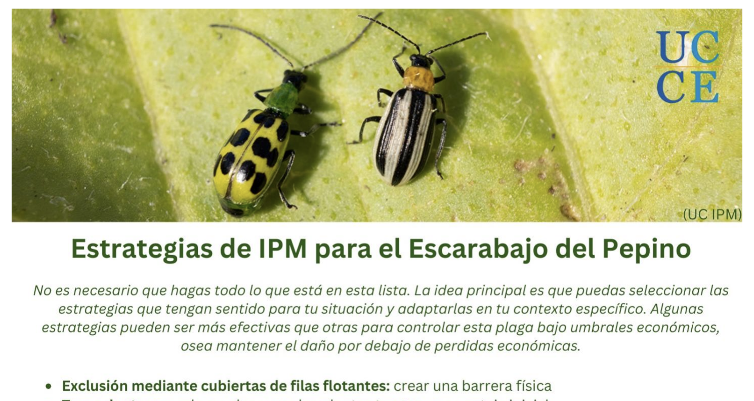 Screenshot 2025-07-21 at 3.04.40 PM.png