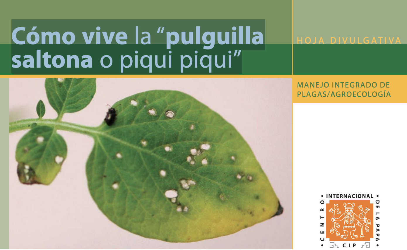 Screenshot 2026-02-06 at 12.49.33 PM.png