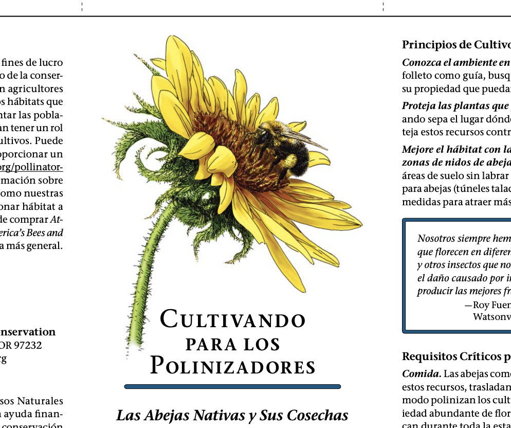 Screenshot 2025-09-17 at 4.35.49 PM.png