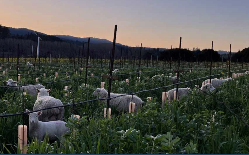 Screenshot 2026-03-17 at 12.14.51 PM.png