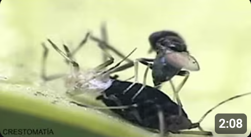 Screenshot 2026-02-06 at 12.37.05 PM.png