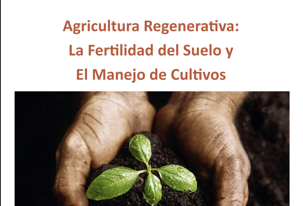 Screenshot 2025-08-01 at 3.31.17 PM.png