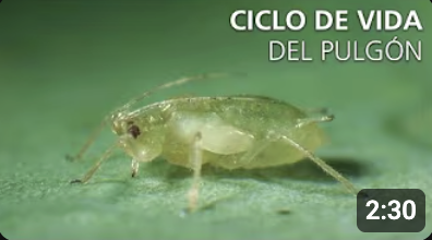 Screenshot 2025-11-19 at 1.27.06 PM.png