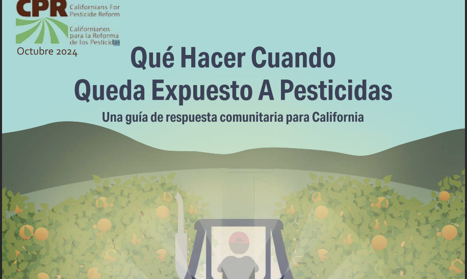 Screenshot 2025-11-10 at 12.23.15 PM.png