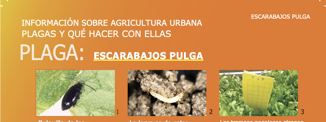 Screenshot 2026-01-27 at 4.26.01 PM.png