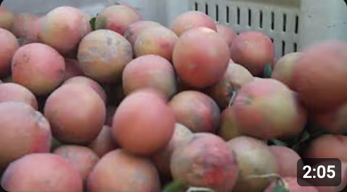 Screenshot 2025-10-15 at 3.42.26 PM.png