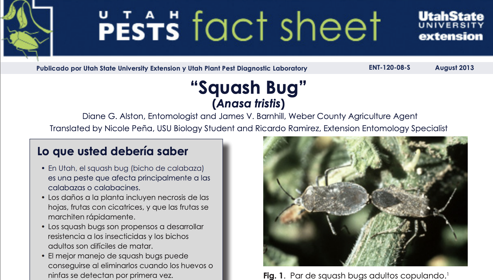 Screenshot 2025-10-02 at 4.19.07 PM.png