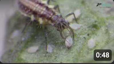 Screenshot 2026-02-06 at 11.39.51 AM.png