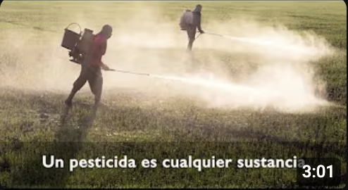 Screenshot 2025-10-15 at 3.31.10 PM.png